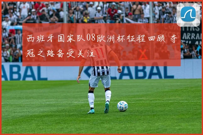 西班牙国家队08欧洲杯征程回顾 夺冠之路备受关注