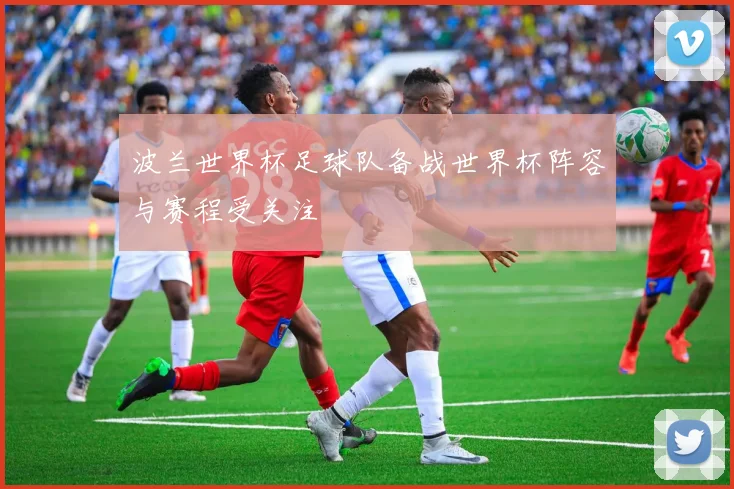 波兰世界杯足球队备战世界杯阵容与赛程受关注