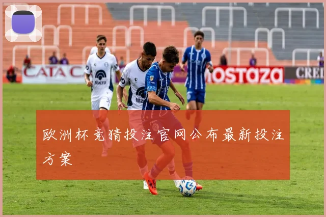 欧洲杯竞猜投注官网公布最新投注方案