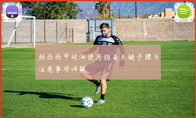 柏西西甲硅油使用指南关键步骤与注意事项详解