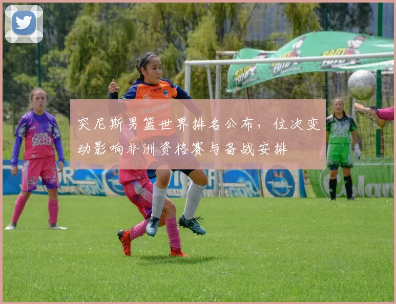 突尼斯男篮世界排名公布，位次变动影响非洲资格赛与备战安排