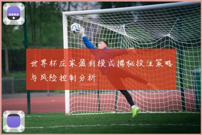 世界杯庄家盈利模式揭秘投注策略与风险控制分析