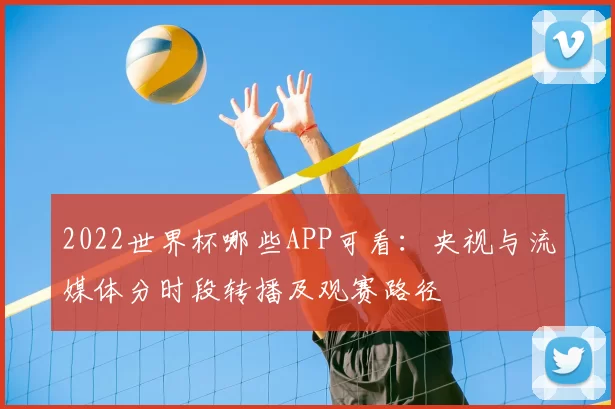 2022世界杯哪些APP可看：央视与流媒体分时段转播及观赛路径